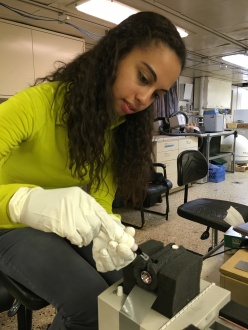 USF student Erin Cuyler adds indicator dye to a seawater sample in order to measure the sample's pH using spectrophotometry. Credit: Katie Douglas. 